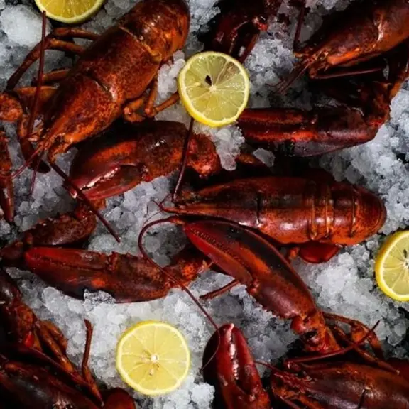 Lobster on ice